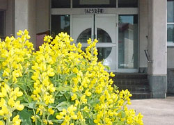 女子棟玄関写真